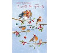 to All The Family Robins Traditional Christmas Greeting Card Special Xmas Cards 616862