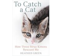 To Catch a Cat: How Three Stray Kittens Rescued Me