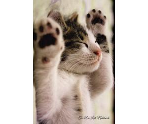 To-Do List Notebook: To-Do Lists with Checkboxes, Today’s Plan, Simple Notebook, Cute Cat Design, 6" X 9", 100 Pages