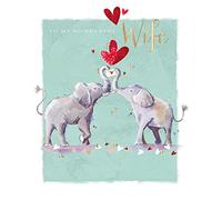 To My Wonderful Wife Love Letter Birthday Card The Wildlife Range Greeting Cards KK0101