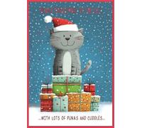To The Cat Christmas Card - Santa Hat Letters with Snowflakes and Red Foil 7.25x5.5"