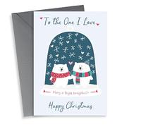 To The One I Love - Polar Bears - Cute - Couple - Holding Hands - Snow Globe - Merry and Bright Snowglobe - Christmas Card