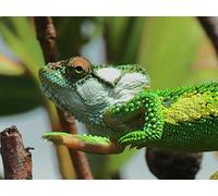 To the River’s End