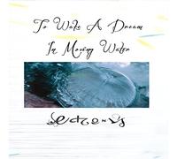 To Wake A Dream In Moving Water