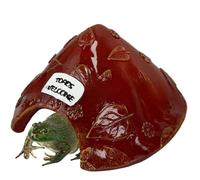 Toad House 8x4in Leaf Pattern Frog House Resin Protective Toad Habitat with Welcome Sign Cute for Outside Garden, Zoo, Aquarium Brown, Habitat, Frog