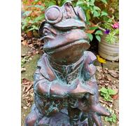 Toad of Toad Hall Sculpture from Wind in the Willows Inspirational Gifting Bronze One Size