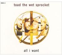 Toad The Wet Sprocket - All I Want - Columbia - 658331 2 by Toad The Wet Sprocket