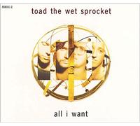 Toad The Wet Sprocket - All I Want