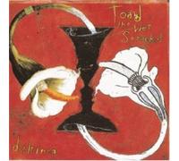 Toad the wet Sprocket - Dulcinea (Mac)