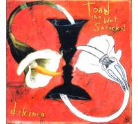Toad the Wet Sprocket - Dulcinea