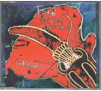 TOAD THE WET SPROCKET - FALLDOWN EP (40672)