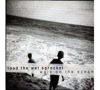 TOAD THE WET SPROCKET - Walk on the ocean 2-track CARD SLEEVE 1) Walk on the ocean Single version 2) All in all CDSINGLE