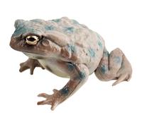 Toad Toy Figurine - PVC 6.2x4.9x3.2cm | Rubber Toad Prop | Realistic Solid Frog And Toads Animal Figurines | Funny Frog Figurines Bullfrog Figurine Model For Kids, Collectors, And Play