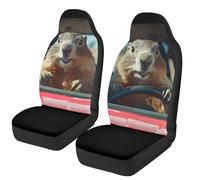 TOADDMOS Groundhog Car Front Seat Covers Stretch Polyester Fabric Cover Car Seat Covers Full Set of 2 Breathable Automotive Interior Seats Covers Fit for Cars Sedans and SUVs
