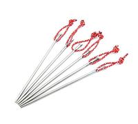 TOAKS PEG-06 Titanium Nail Tent Peg Pack of 6