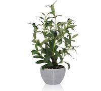 TOARTi Artificial Olive Tree Fake Potted Realistic Decorative Branches Table Decor,Lifelike Green Tree and Fruits,Small-Sized Design Faux Leaves Plants for Home Office Desk Decor 19.5x13x36.5cm