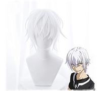 Toaru Majutsu No Index Accelerator Cosplay Wig for Man Boys 30cm Short Straight Anime Wig Heat Resistant Synthetic Hair White