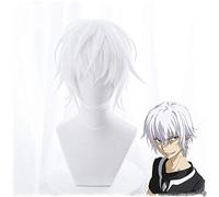 Toaru Majutsu No Index Accelerator Cosplay Wig for Man Boys 30cm Short Straight Anime Wig Heat Resistant Synthetic Hair White Accelerator