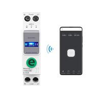 TOB9e-63M 110V 220V Smart Meter Metering Monitoring Circuit Breaker Timer Relay Smart Home 63A