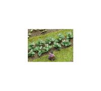 Tobacco Plants 19mm (14)