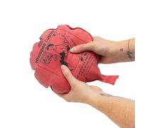 Tobar 10350 Classic Jokes WHOOPEE Cushion, Pink, 16 Centimeters