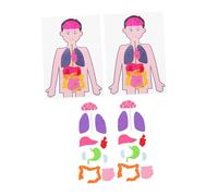 TOBBOMEY 2 Sets Creative Human Organs Playthings Educational Cognitive for DIY Learning Development of Body Parts Recognition and Imagination Enhancement