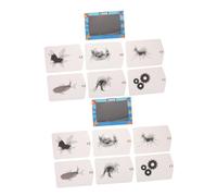 TOBBOMEY 2 Sets Lenticular Animation Stripe for Early Education Stem Science Kit DIY Optical Experiment for Build Creativity Critical Thinking and Visual Illusion Learning