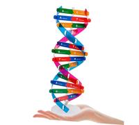 TOBBOMEY 2pcs Dna Double Helix Model Kit Self-assembling Biology Teaching Aids Science Educational Instrument for Classroom and Home Learning