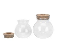 TOBBOMEY 2pcs Glass Hydroponic Vase Set for Small and Medium Plants 10x11cm 13x14cm, Floral Arrangement Container for Home Décor and Eco-friendly Plant Display