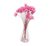 TOBBOMEY 2pcs Miniature Dollhouse Glass Vases with Dried Flowers Tiny Faux Floral Arrangements for Small-scale Home Decor Compact Transparent Mini Plant Pots for Dollhouse Accessories and