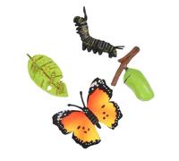 TOBBOMEY 3 Sets Butterfly Growth Cycle Models Realistic Evolution Educational Figurines for Learning and Classroom Display Safe and Detailed Life Cycle Simulation