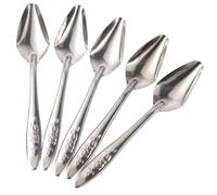 TOBBOMEY 5Pcs Stainless Steel Bird Feeding Spoon Large Portable Parrot Feeder Spoon for Milk Medicine Feeding Suitable for Parakeets Parrots and Small Birds