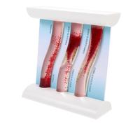 TOBBOMEY Dynamic Blood Vessel Model for Medical Teaching Realistic Anatomical Vascular Simulation with Material Innovative Drip Design for Damage Visualization for Student Education