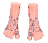TOBBOMEY Foot Model Teaching Instrument Reflexology Massage Therapy Realistic Foot Massage Model Detailed Acupressure Points Educational Use