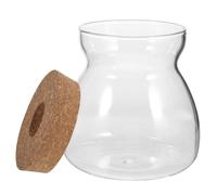 TOBBOMEY Glass Terrarium Jar with Lid for Indoor Succulents, Medium Micro Landscape Ecosystem Container, Small Glass Plant Terrarium Pot for Home and Office Decor