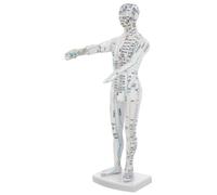 TOBBOMEY Human Acupuncture Model Mannequin with Acupoints and Meridians, White Full Body Simulation Model for Traditional Chinese Medicine Training and Acupoint Massage Education