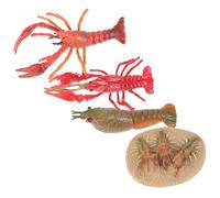 TOBBOMEY Lobster Growth Cycle Realistic Simulation Animal Cognitive Model Educational Miniature Figurines for Learning Lobster Development Stages