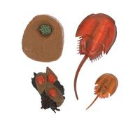 TOBBOMEY Mini Simulation Animal Models Educational Ocean Creatures for Realistic Desktop Ornament and Home Decoration Interactive Craft Plaything to Enhance Imagination and Animal Knowledge