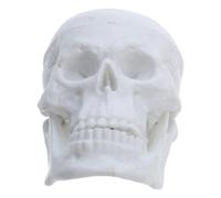TOBBOMEY Realistic 2.5 X 2 Inch Skull Model, Portable Miniature Human Skeleton Head for Biology Lab, Classroom Teaching, Nursing Study, Party Props