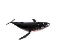 TOBBOMEY Realistic Whale Model Plastic Figurine for Early Education and Party Decor Lifelike Sea Animal Ornament for Home Office Store Bar Decoration