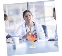 TOBBOMEY Scientific Human Brain Model for Medical Teaching with Removable Parts and Display Base Anatomical Brain Structure Puzzle for Education Psychology and Research