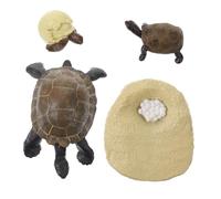TOBBOMEY Simulated Tortoise Growth Cycle Model Educational Animal Growth Stage Early Learning Cognitive Science Kit for Natural Life Cycle Awareness