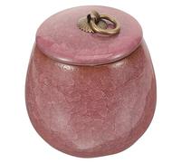 TOBBOMEY Small Ceramic Pet Ashes Urn Keepsake Memorial for Cats Dogs Lightweight Decorative Container for Pet Memorials Comforting Tribute Holder