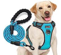tobeDRI No Pull Dog Harness Adjustable Reflective Oxford Easy Control Medium Large Dog Harness with A Free Heavy Duty 5ft Dog Leash (L (Neck: 18"-25.5", Chest: 24.5"-33"), Blue Harness+Leash)