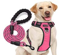 tobeDRI No Pull Dog Harness Adjustable Reflective Oxford Easy Control Medium Large Harness with A Free Heavy Duty 5ft Dog Leash (L (Neck: 18"-25.5", Chest: 24.5"-33"), Pink)