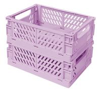 Tobeso-Nuoze Pastel Plastic Storage Baskets 2 Pack, Collapsible Crates for Organizing, Space-Saving Bins for Kitchen, Office, Bedroom (Purple, Medium: 25 * 15 * 10cm)