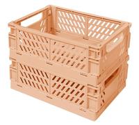 Tobeso-Nuoze Pastel Plastic Storage Baskets 2 Pack, Collapsible Crates for Organizing, Space-Saving Bins for Kitchen, Office, Bedroom (Orange, Medium: 25 * 15 * 10cm)
