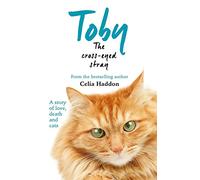 Toby The Cross-Eyed Stray