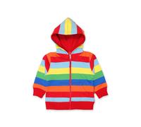 Toby Tiger Multi Stripe Hoodie | Size: 12-18 m Toby Tiger Multicolor 12-18 m