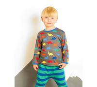 Toby Tiger Organic Dinosaur Print Long-Sleeved T-Shirt - 1-2y / 92cm